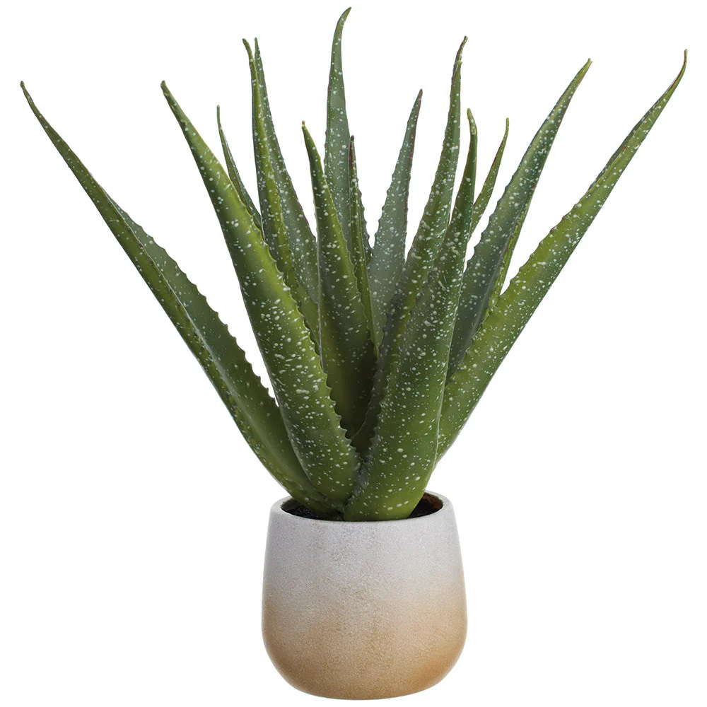 20" Aloe Artificial Plant w/Plastic Pot -Green