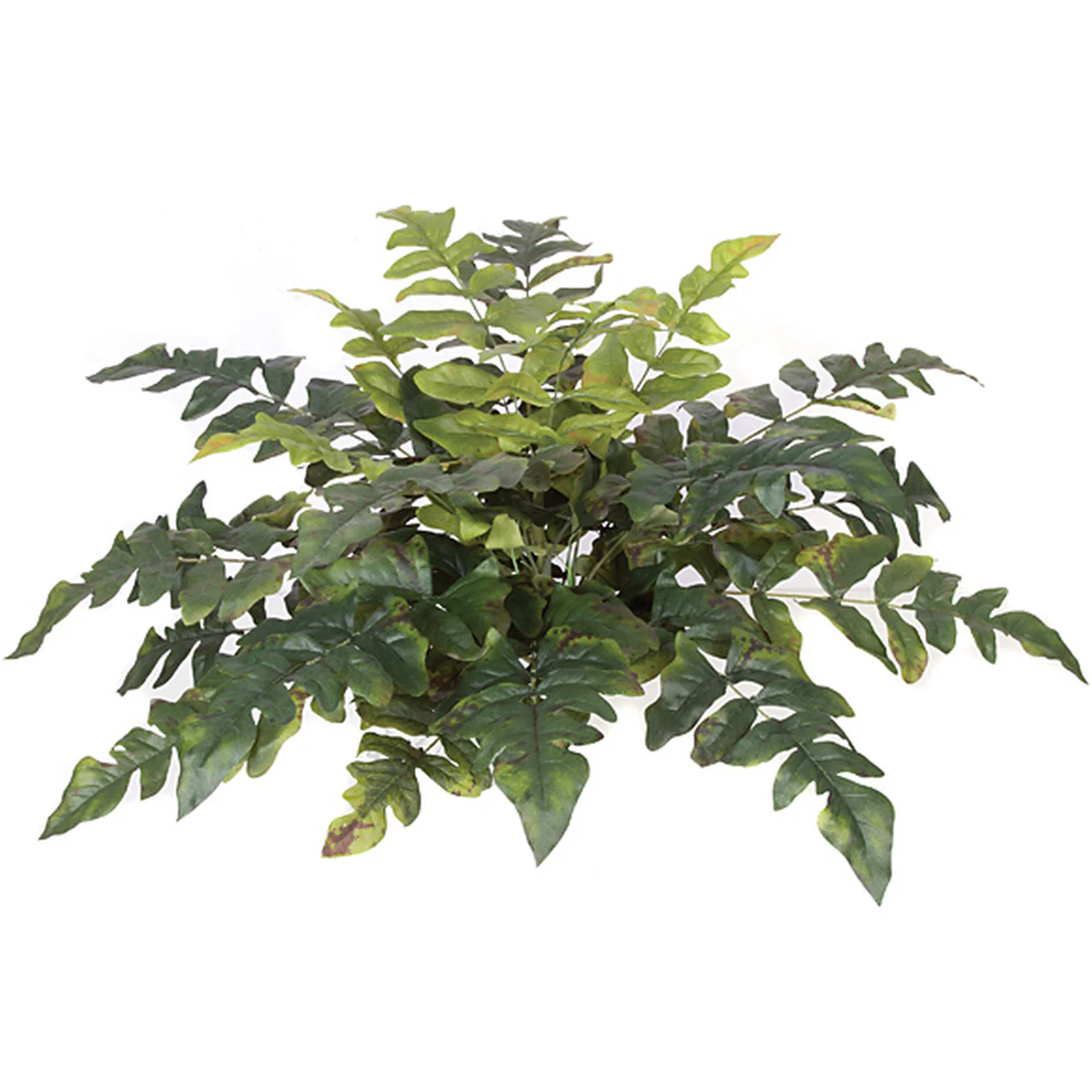 20" Butter Fern Silk Plant -2 Tone Green (Pack of 6)