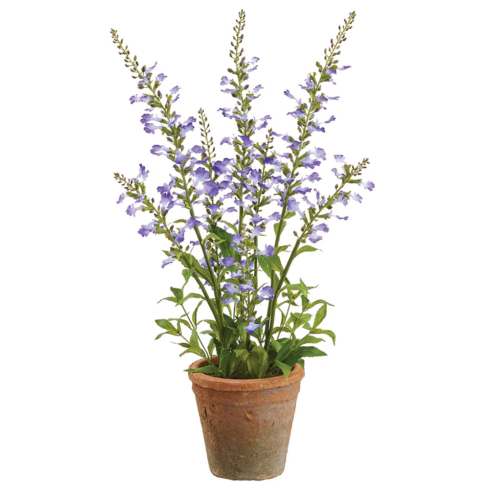 20" Flowering Sage Herb Silk Flower Arrangement w/Clay Pot -Purple (Pack of 4)