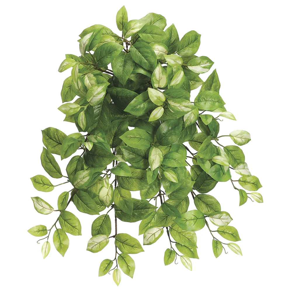 20" Hoya Ivy Silk Hanging Plant -Green/Cream (Pack of 12)