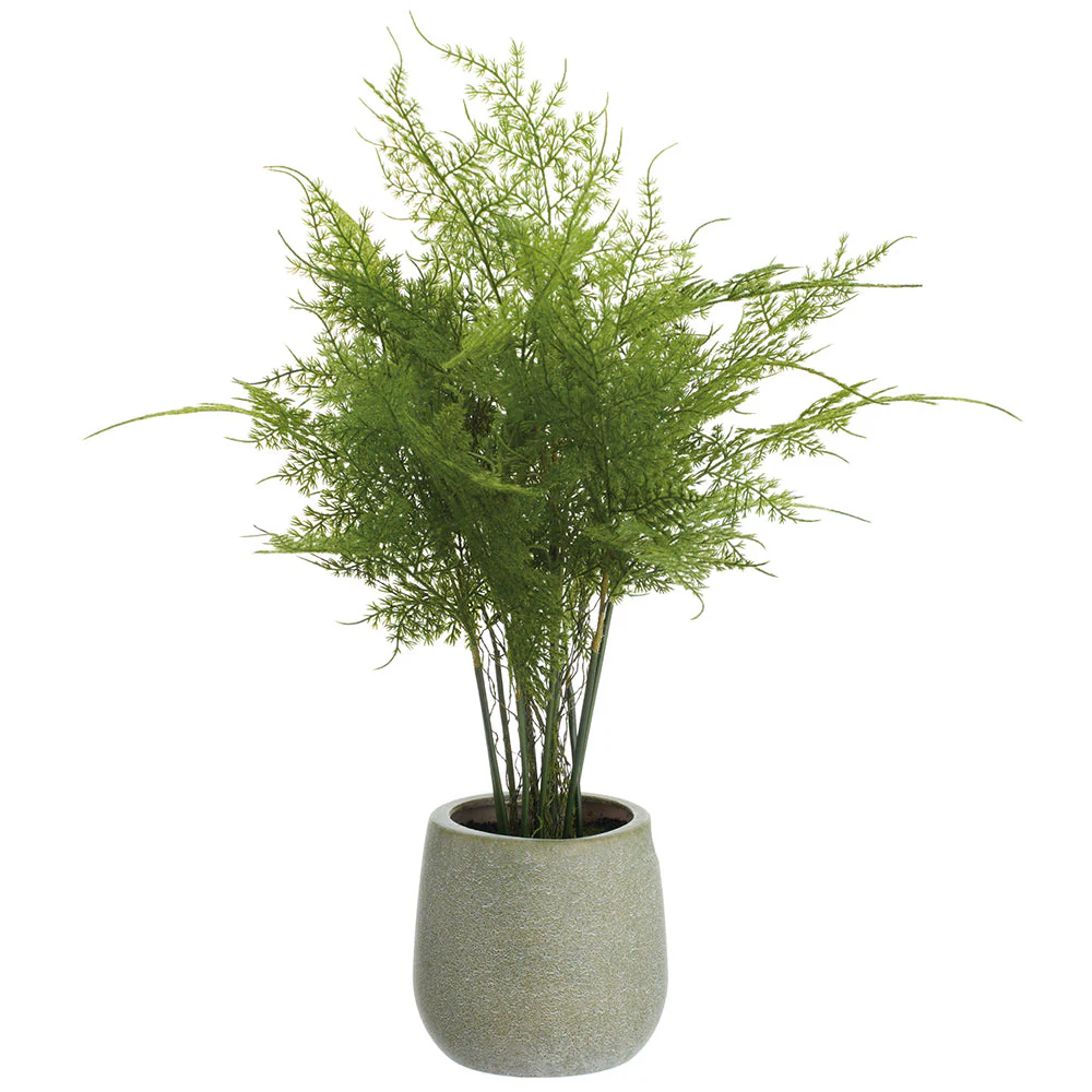 20" Lace Fern Artificial Plant w/Plastic Pot -Green (Pack of 4)