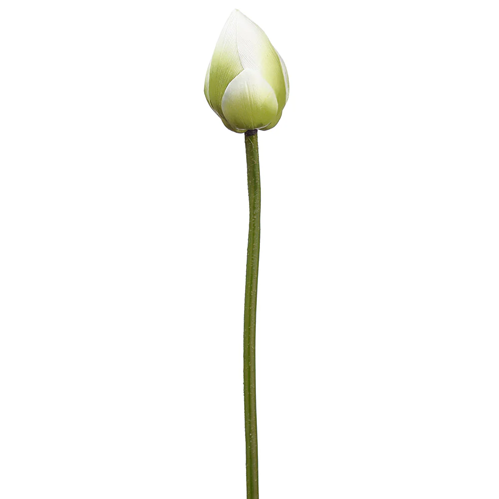 20" Lotus Bud Silk Flower Stem -White (Pack of 12)