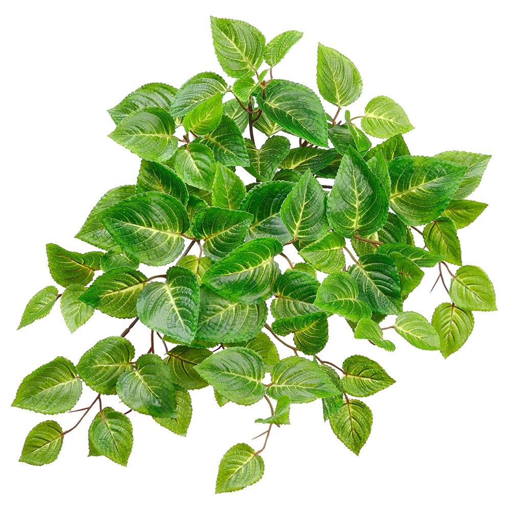 20" Outdoor UV-Resistant Artificial Hanging Coleus Plant -Green/Cream (Pack of 12)