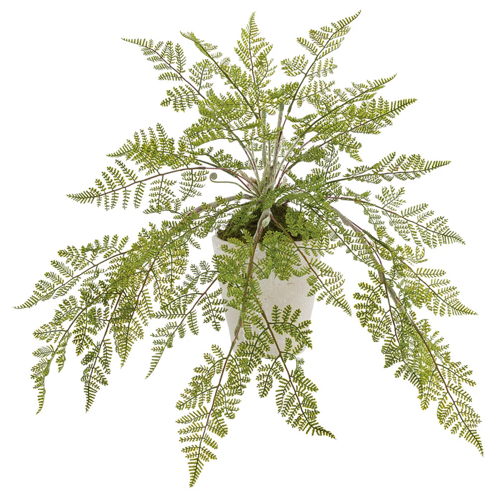 20" PE Lace Fern Artificial Plant w/Cement Pot -Green (Pack of 2)