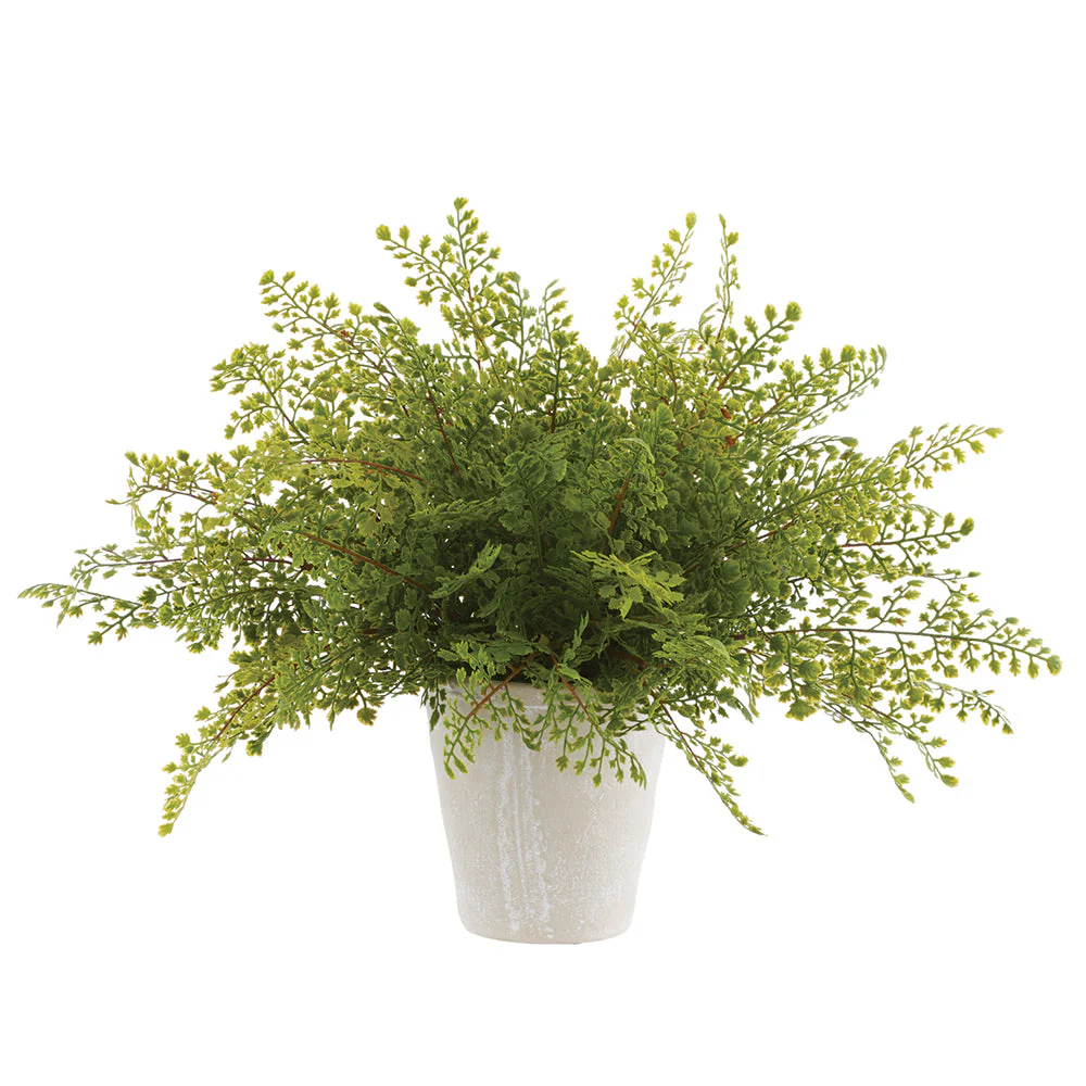 20" PE Maidenhair Fern Artificial Plant w/Cement Pot -Green (Pack of 2)