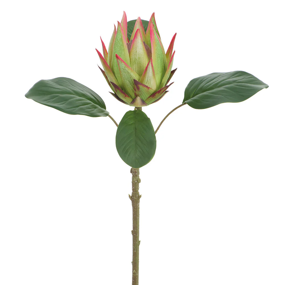 20" Protea Artificial Flower Stem -Green/Pink (Pack of 12)