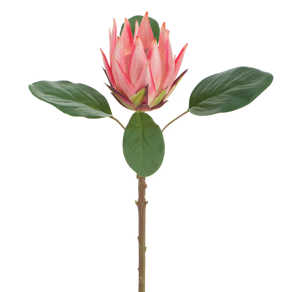 20" Protea Artificial Flower Stem -Salmon (Pack of 12)
