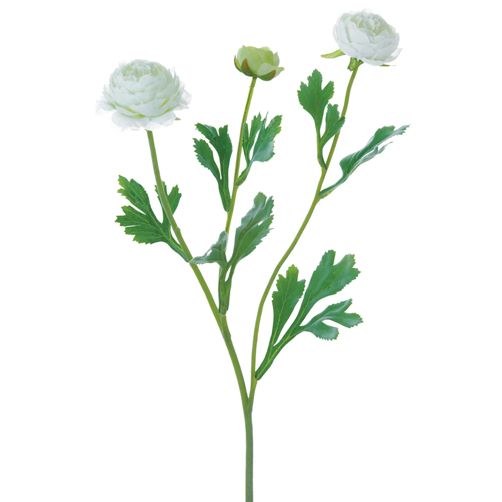 20" Ranunculus Silk Flower Stem -White (Pack of 12)