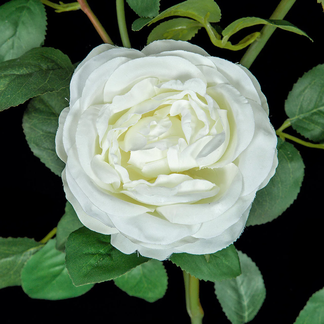 20" Rose Silk Flower Stem -White (Pack of 12) - Image 4