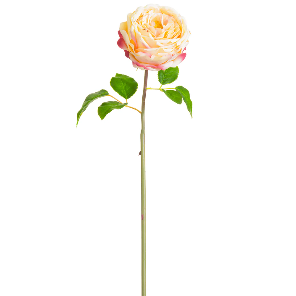 20" Silk Cabbage Rose Bud Flower Stem -2 Tone Pink (Pack of 12)