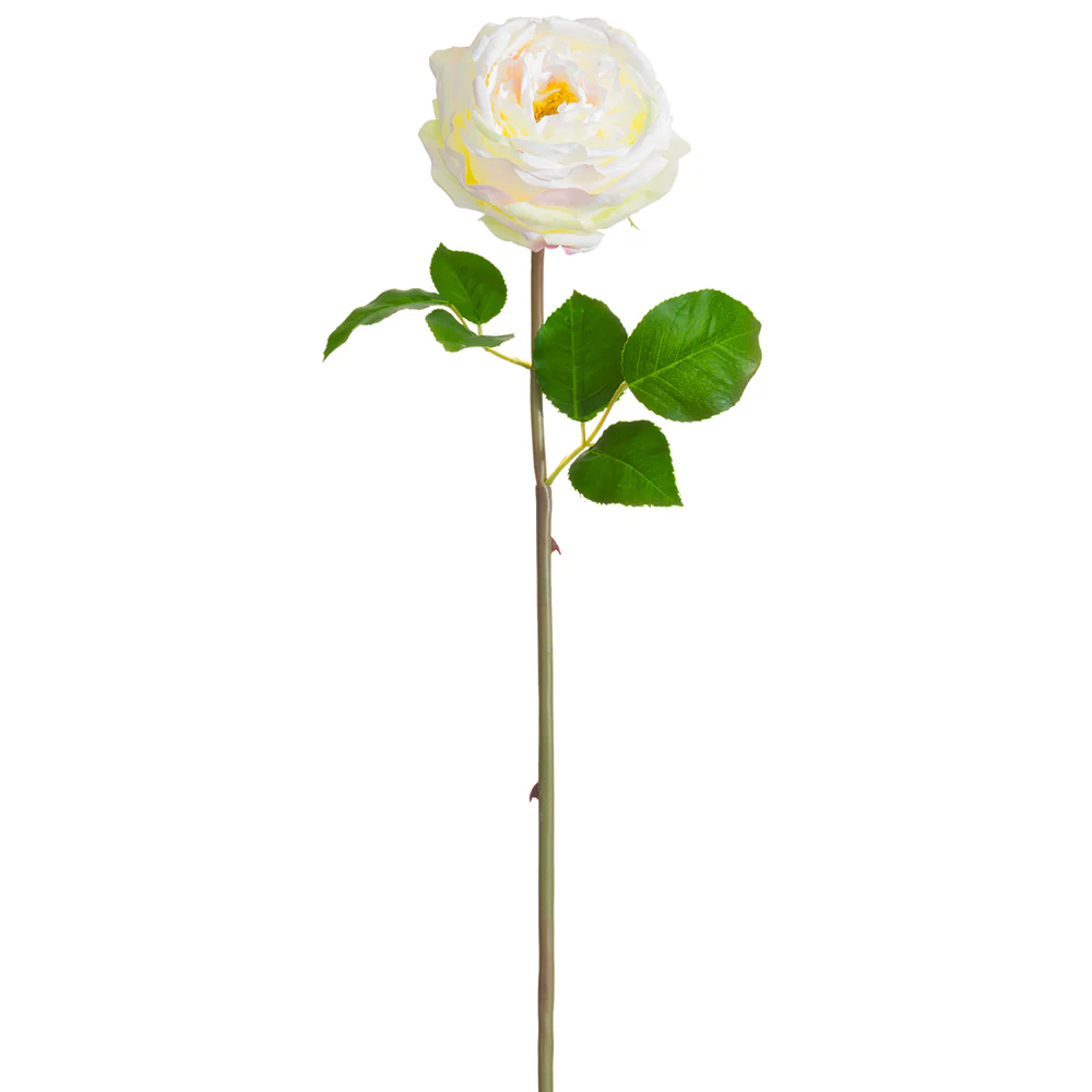 20" Silk Cabbage Rose Bud Flower Stem -Cream/Blush (Pack of 12)