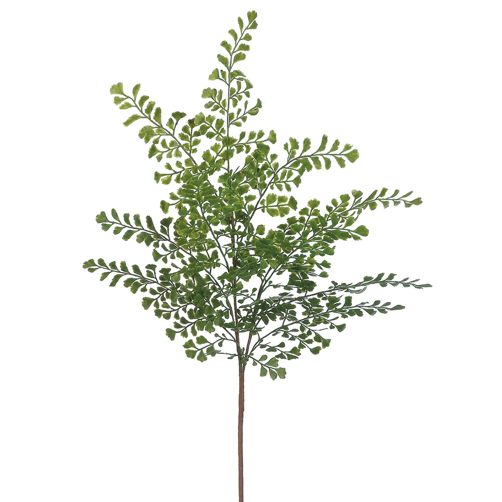 20" Silk Maidenhair Fern Stem -Green (Pack of 12)