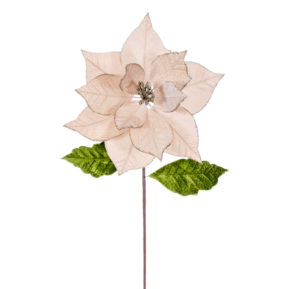 20"x12" Glittered Classic Velvet Artificial Poinsettia Flower Stem -Champagne (Pack of 12)
