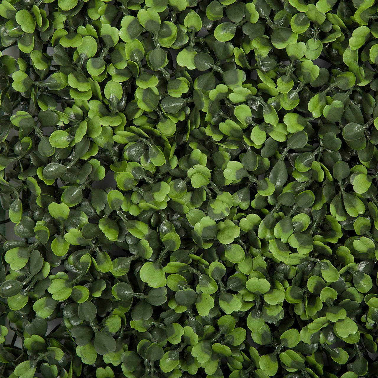 20"x20" IFR Artificial Boxwood Mat -2 Tone Green (Pack of 4) - Image 2