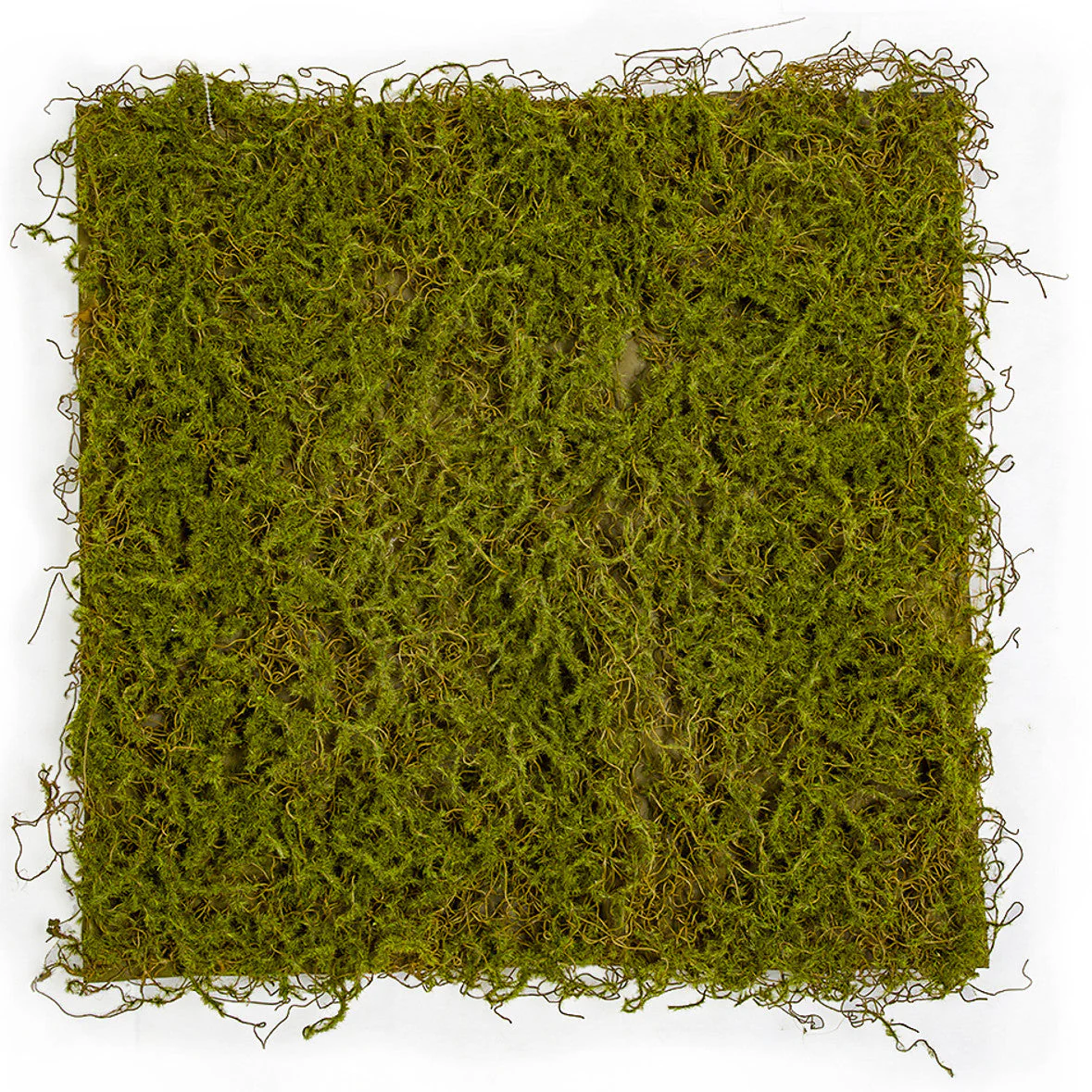20"x20"x1" Moss Artificial Mat -Green/Brown (Pack of 6)