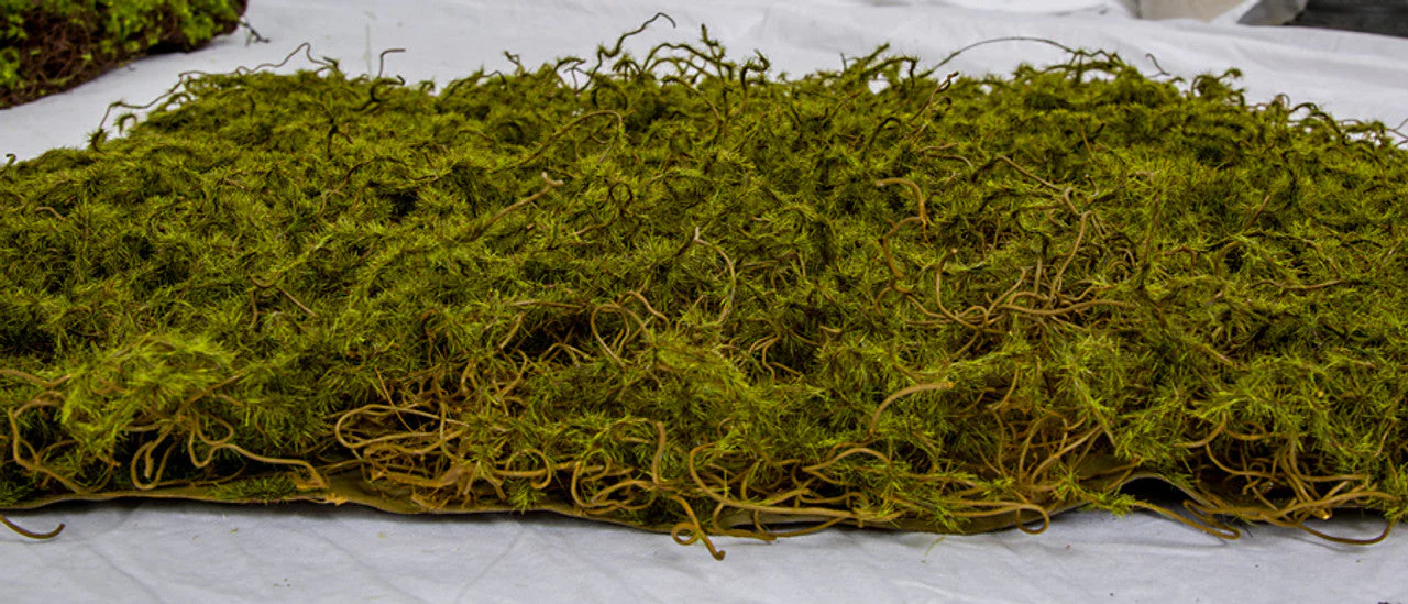 20"x20"x1" Moss Artificial Mat -Green/Brown (Pack of 6) - Image 4