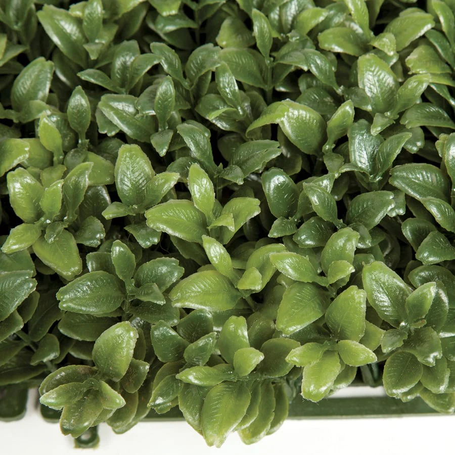 20"x20"x3" Outdoor UV-Proof Artificial English Boxwood Mat -2 Tone Green (Pack of 3) - Image 3