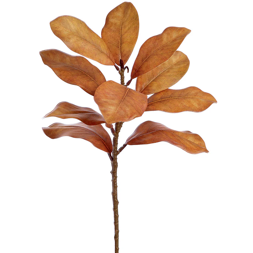 21.5" Magnolia Leaf Silk Stem -Brown (Pack of 12)