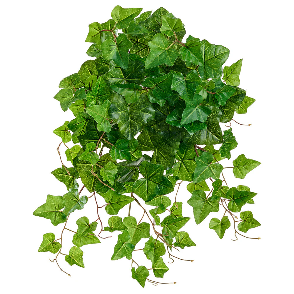 21.5" Outdoor UV-Resistant Artificial Hanging Ivy Leaf Plant -Green (Pack of 12)