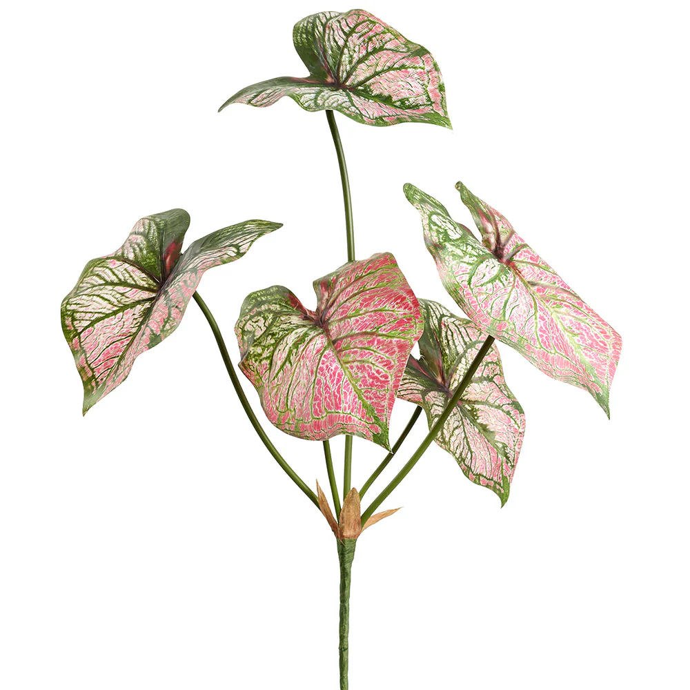 21" Caladium Leaf Silk Plant -Pink/Green (Pack of 12)