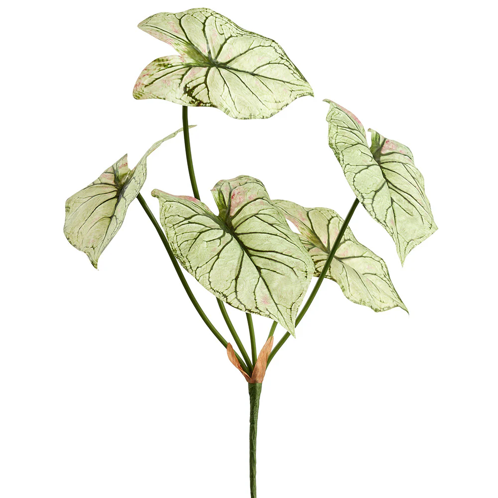 21" Caladium Leaf Silk Plant -White/Green (Pack of 12)