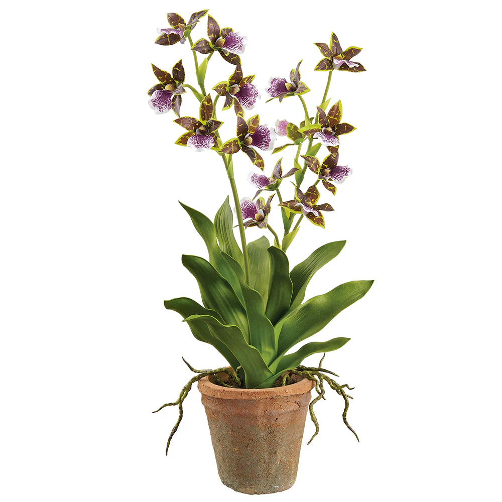 21" Cattleya Orchid Silk Flower Arrangement w/Clay Pot -Purple (Pack of 4)
