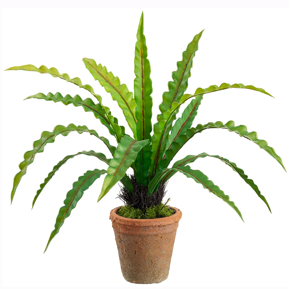 21" Outdoor UV-Resistant Artificial Bird's Nest Fern Plant w/Clay Pot -Green (Pack of 4)