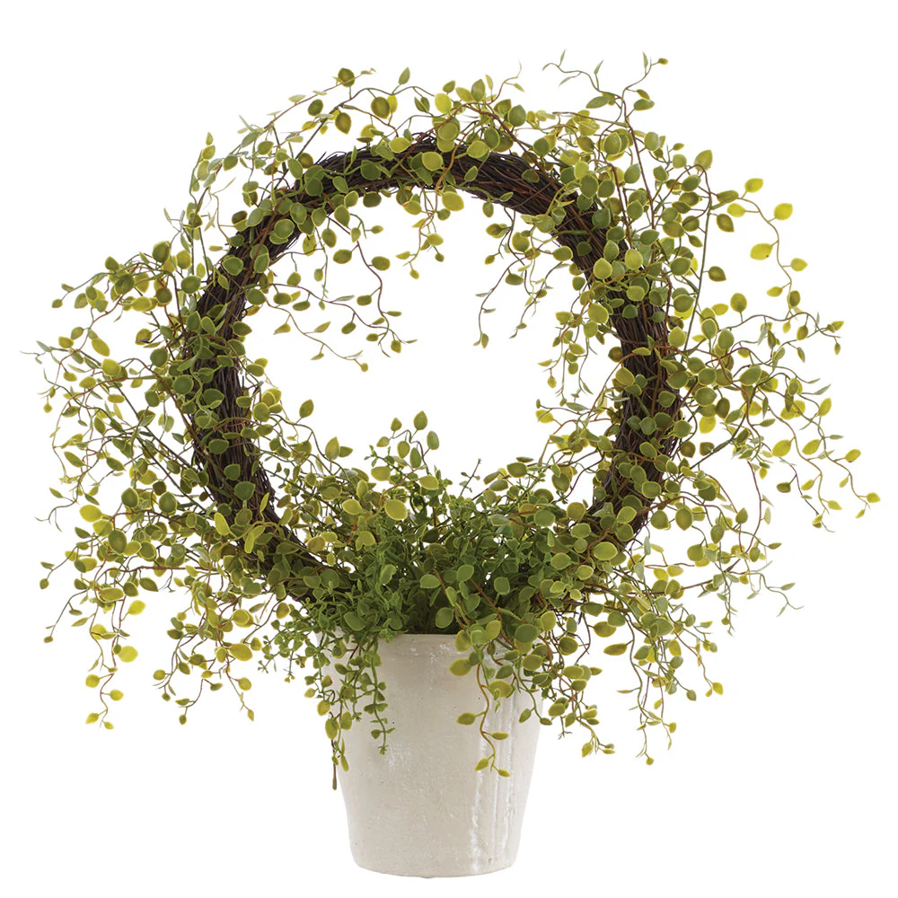 21" PE Muehlenbeckia Wire Silk Plant w/Cement Pot -Green