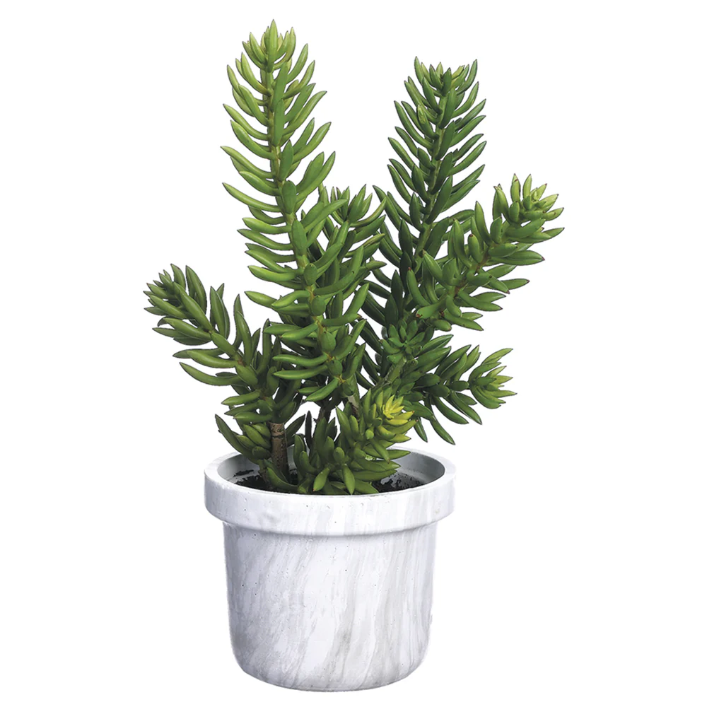 21" Senecio Artificial Plant w/Terra Cotta Pot -Green