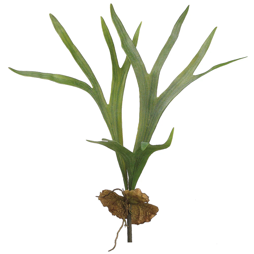 22.5" Artificial Staghorn Plant Fern Stem -Green (Pack of 6)