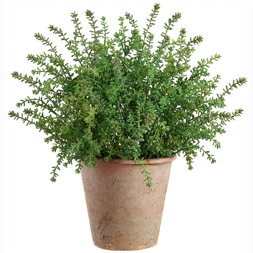 22.5" Outdoor UV-Resistant Artificial Sedum Plant w/Clay Pot -Green (Pack of 2)