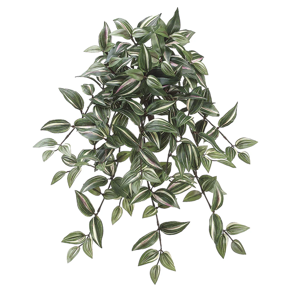 22.5" Wandering Jew Silk Hanging Plant -214 Leaves -Green/Cream (Pack of 12)