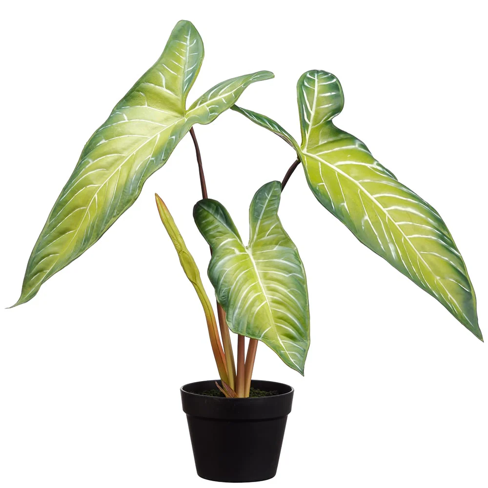 22.75" Alocasia Leaf Silk Plant w/Pot -Green (Pack of 4)