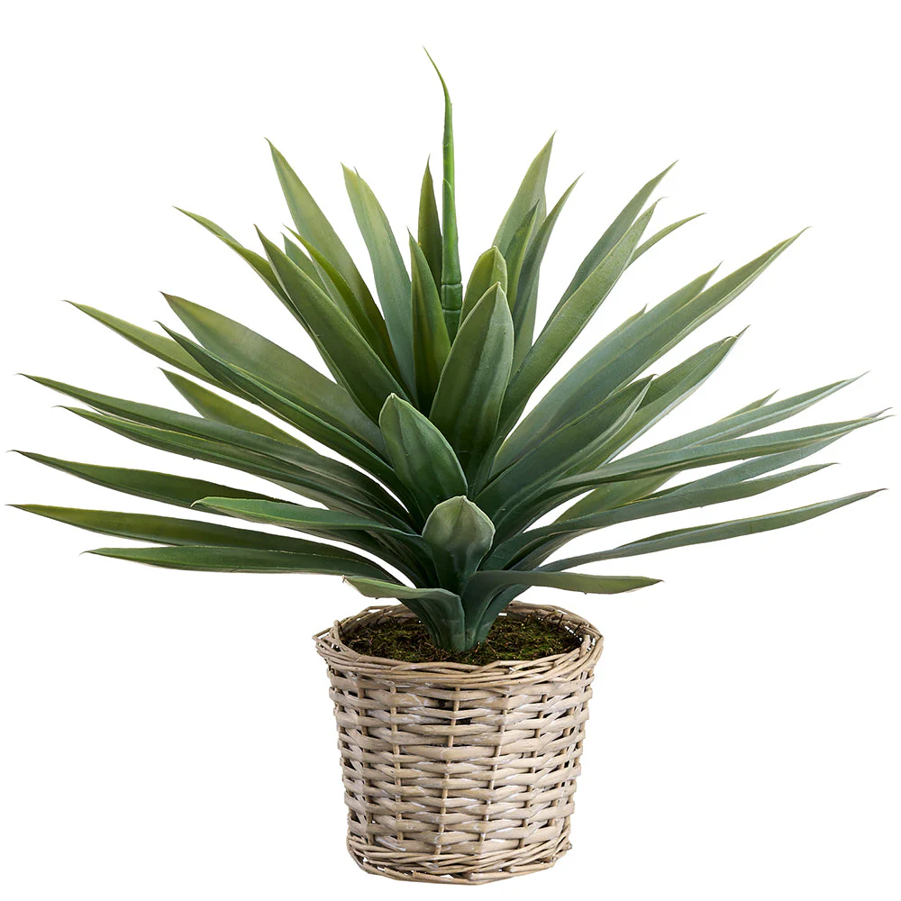 22" Agave Artificial Plant w/Basket -Green (Pack of 2)