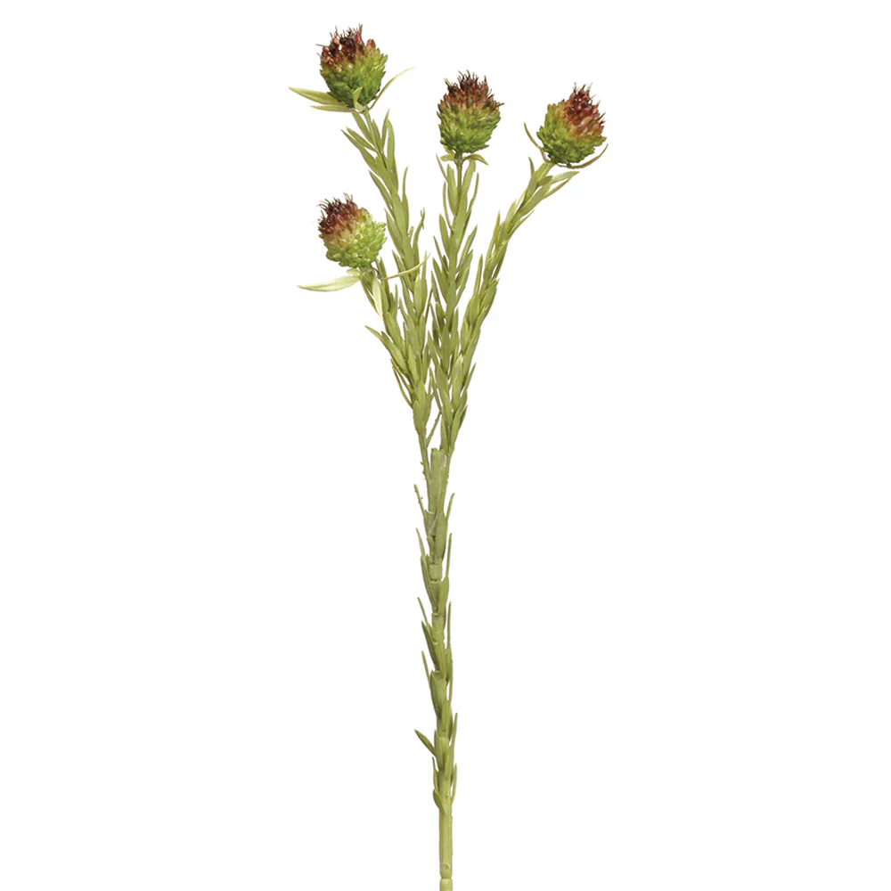 22" Allium Silk Flower Stem -Green/Brown (Pack of 12)