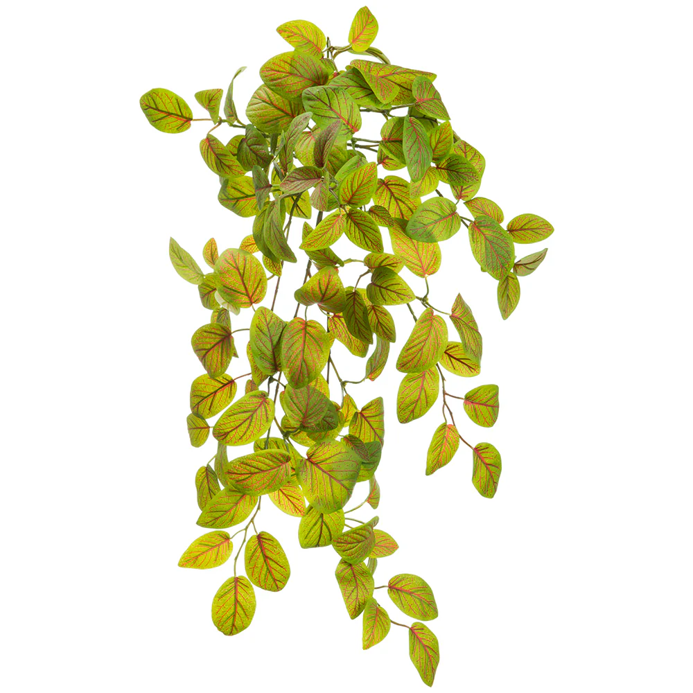 22" Fittonia Silk Hanging Plant -128 Leaves -Green/Red (Pack of 6)