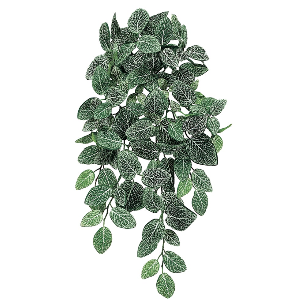 22" Fittonia Silk Hanging Plant -128 Leaves -Green/White (Pack of 6)