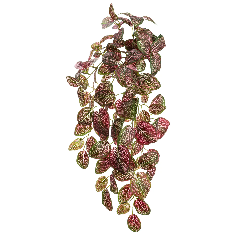 22" Fittonia Silk Hanging Plant -128 Leaves -Red/Green (Pack of 6)