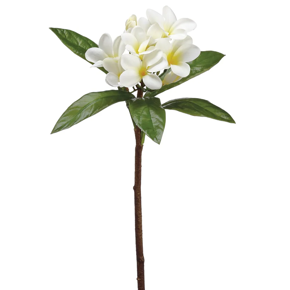 22" Frangipani Plumeria Silk Flower Stem -Cream/Yellow (Pack of 12)