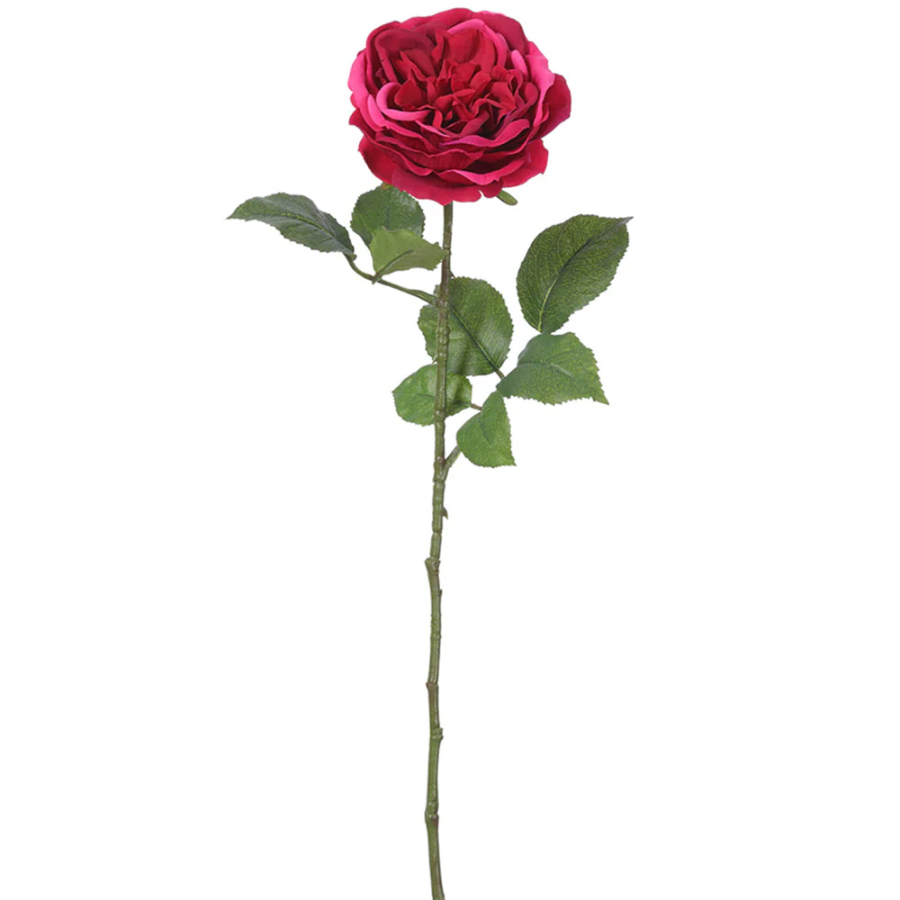 22" Garden Rose Silk Flower Stem -Fuchsia (Pack of 12)