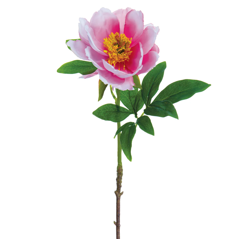 22" Hand-Wrapped Peony Silk Flower Stem -Fuchsia/Pink (Pack of 12)