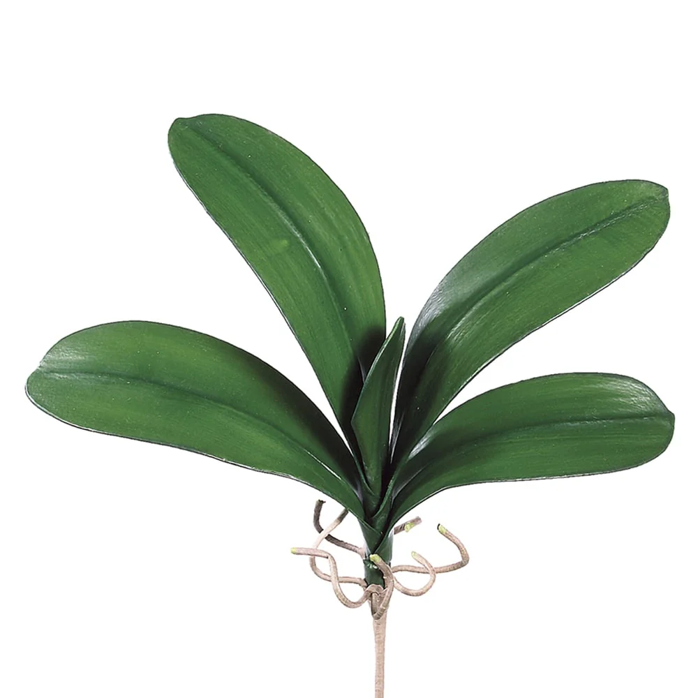 22" Hand-Wrapped Silk Large Phalaenopsis Orchid Leaf Plant Stem -Green (Pack of 12)
