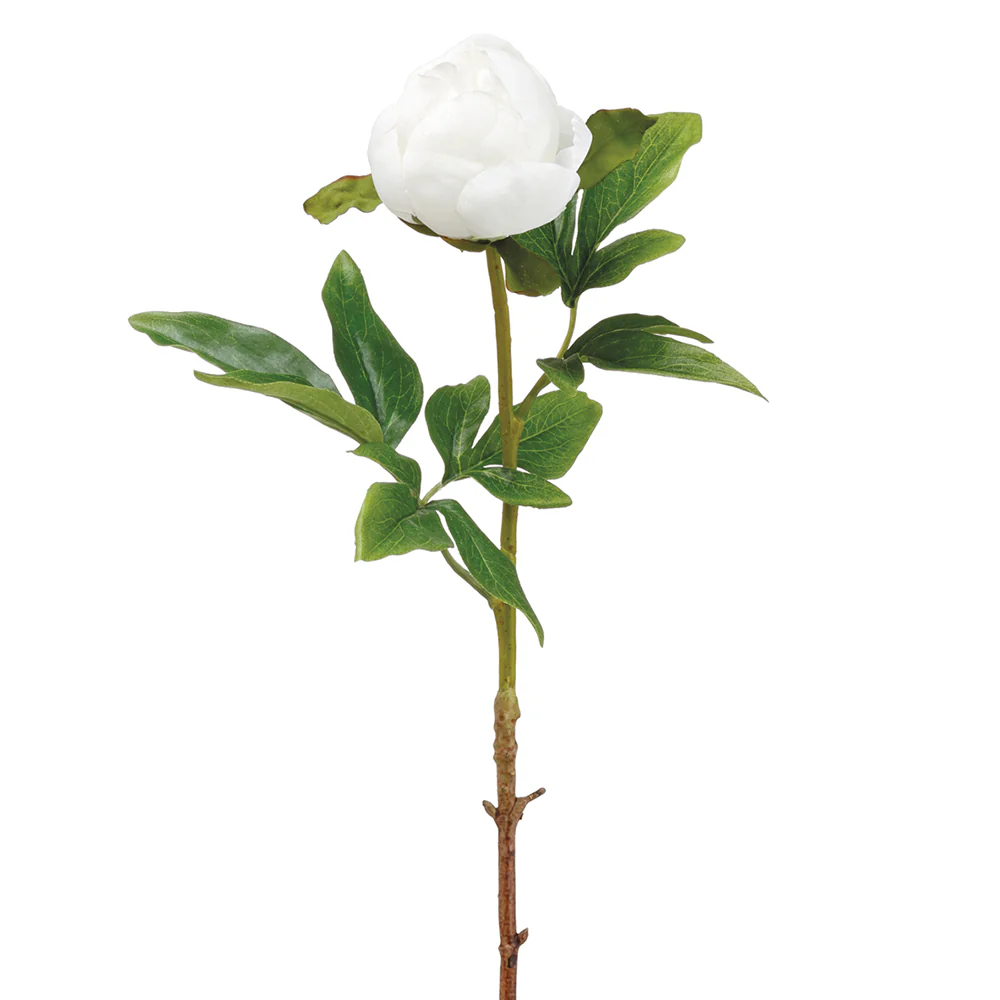 22" Hand-Wrapped Silk Peony Bud Flower Spray -White (Pack of 24)