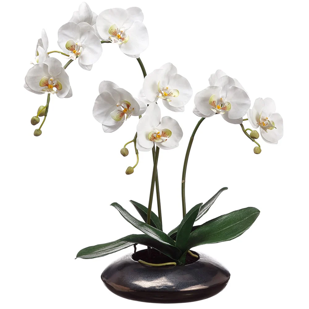 22" Hand-Wrapped Silk Phalaenopsis Orchid Flower Arrangement w/Ceramic Pot -White/Green