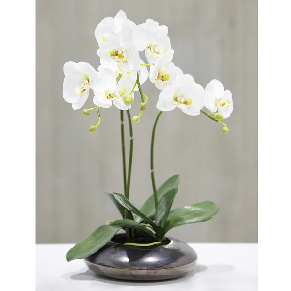 22" Hand-Wrapped Silk Phalaenopsis Orchid Flower Arrangement w/Ceramic Pot -White/Green - Image 2
