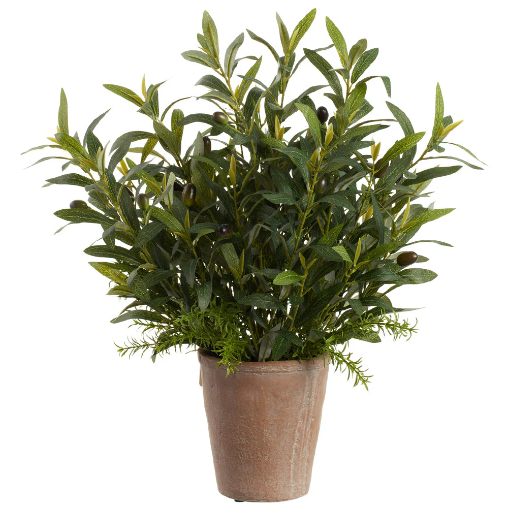 22" Mixed Olive & Rosemary Herb Silk Plant w/Cement Pot -Green (Pack of 2)