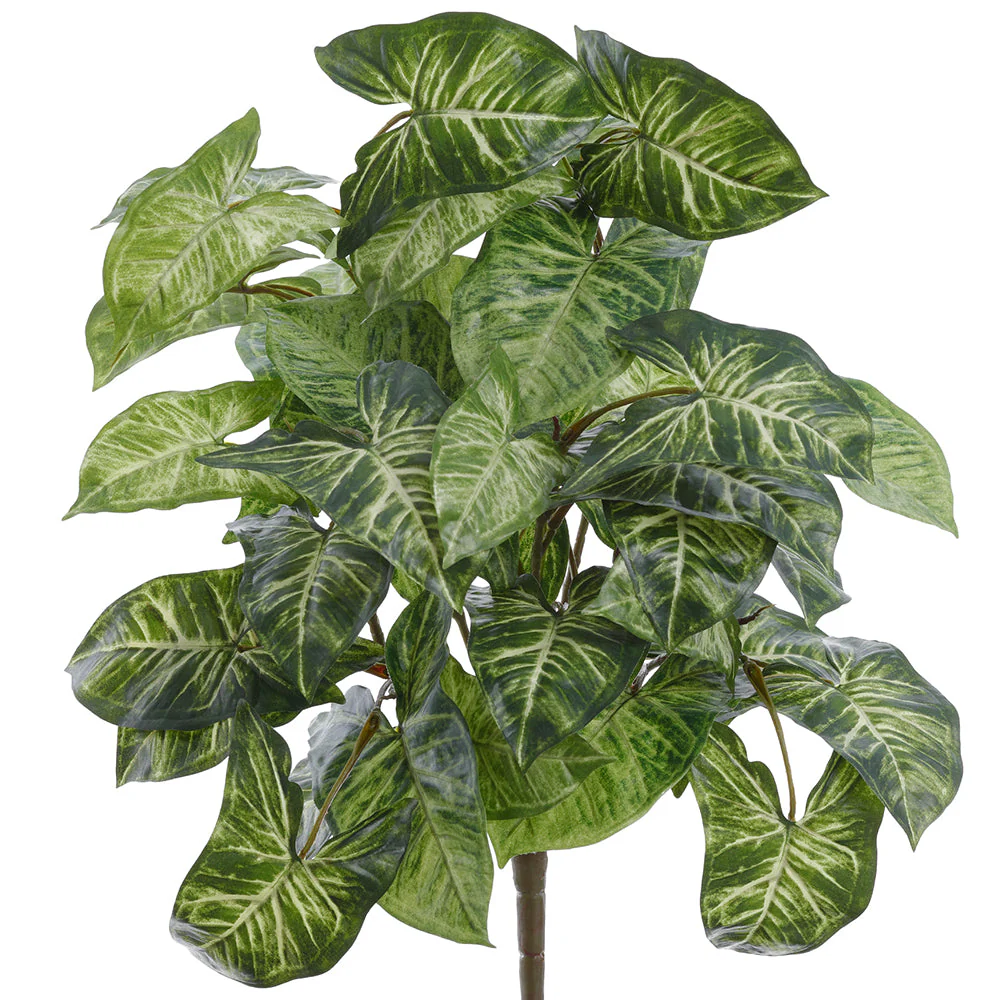 22" Nephthytis Leaf Silk Plant -Green/Variegated (Pack of 4)