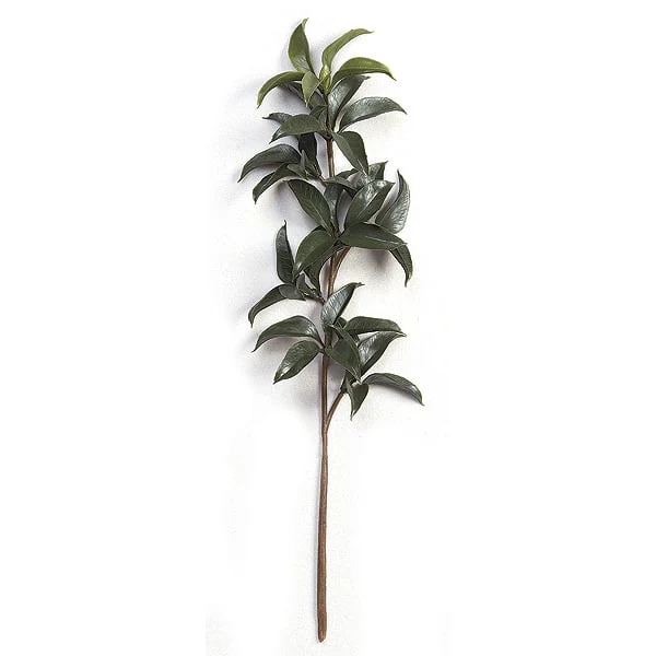 22" Outdoor UV-Proof Artificial Mountain Laurel Branch Stem -Green (Pack of 24)