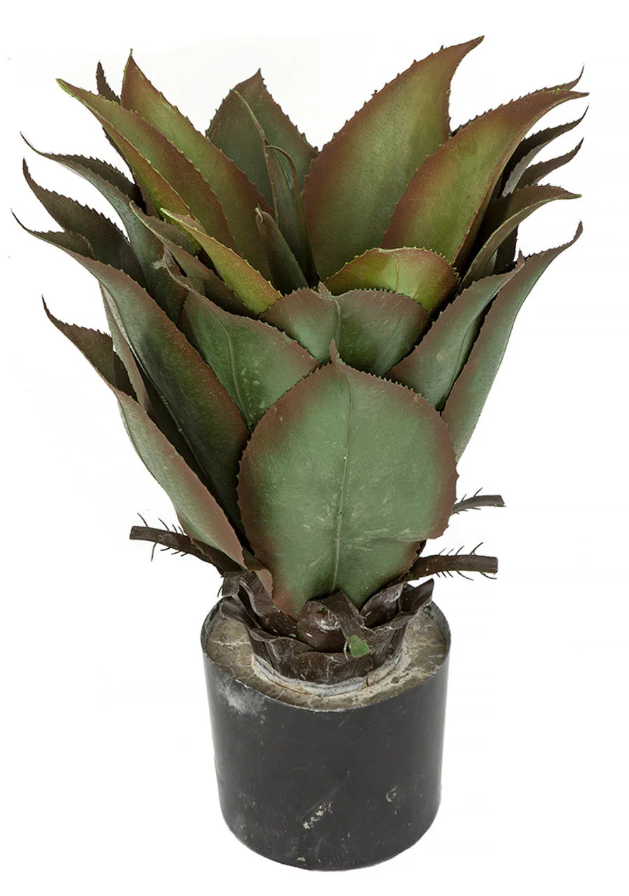 22" Outdoor UV-Resistant Artificial Agave Plant w/Pot -Green/Burgundy (Pack of 2) - Image 2