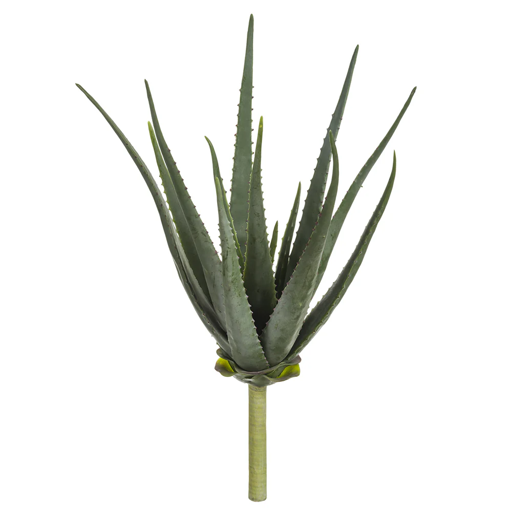 22" PE Soft-Touch Artificial Agave Stem Pick -Green/Gray (Pack of 3)